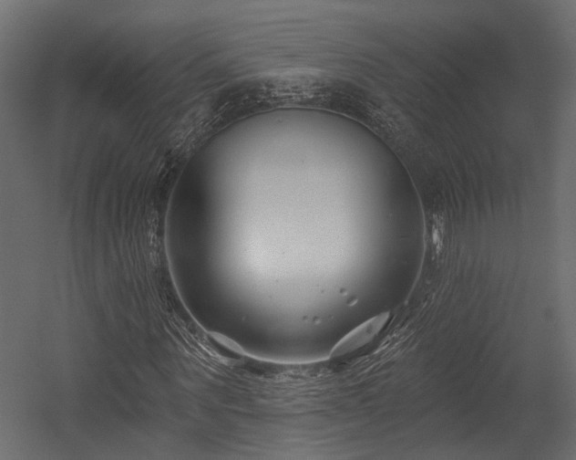 X0000054440867200507291315