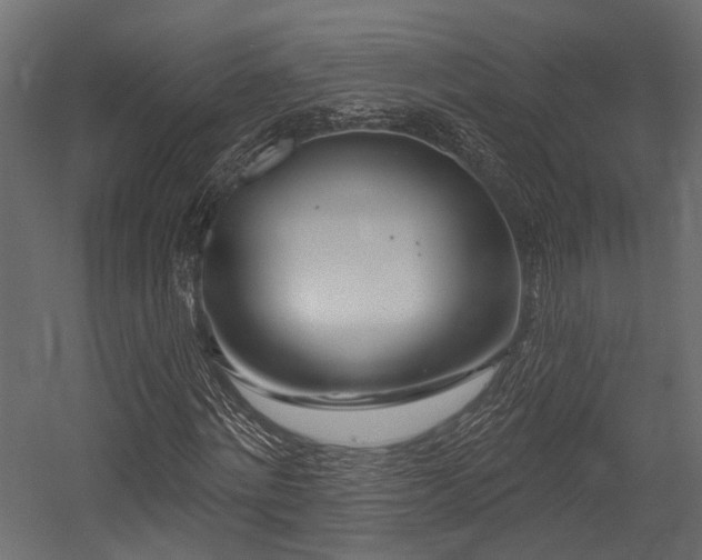 X0000054440868200507291315