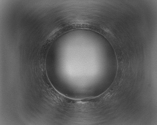 X0000054440870200507291315