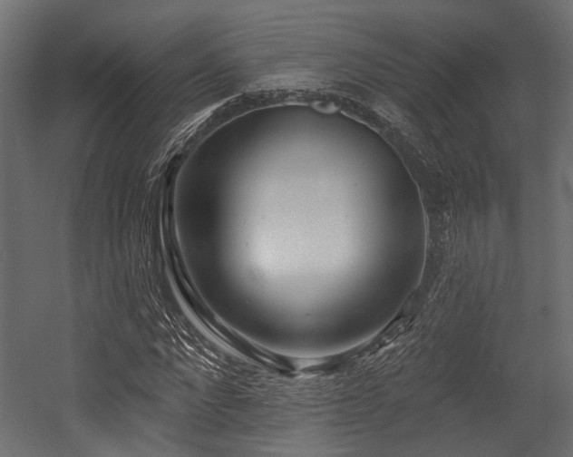 X0000054440872200507291315
