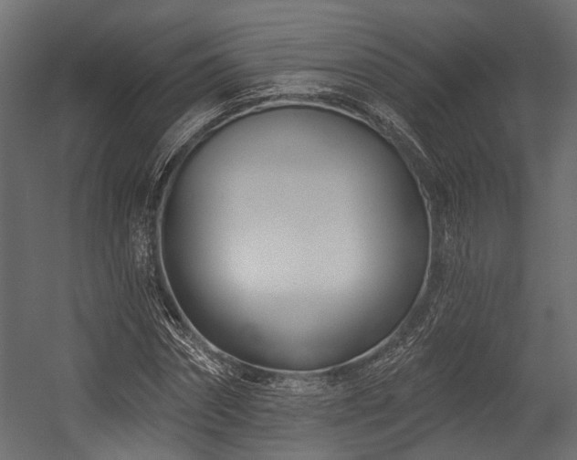 X0000054440874200507291315