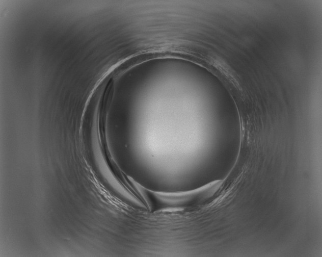 X0000054440876200507291315