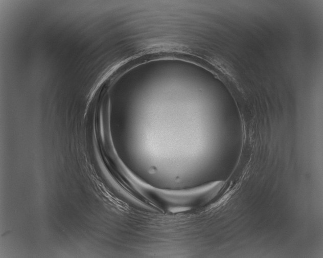 X0000054440877200507291315