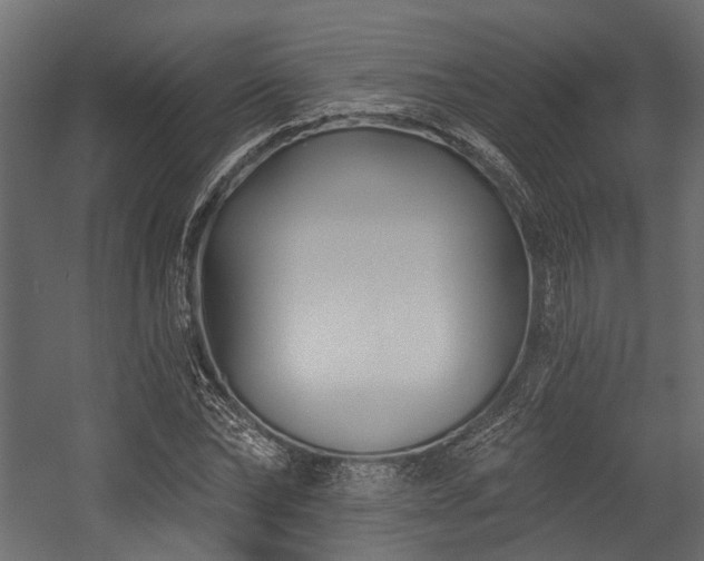 X0000054440878200507291315