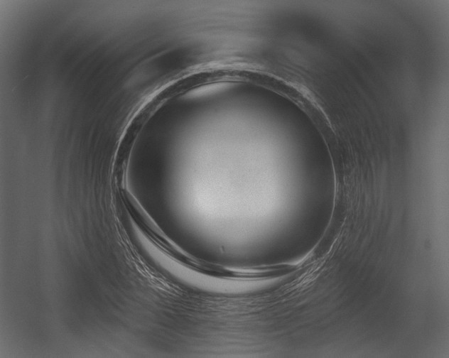 X0000054440879200507291315
