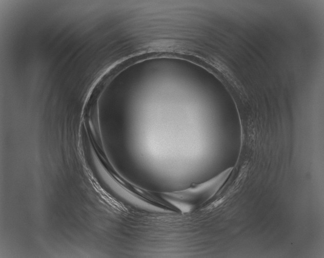 X0000054440880200507291315