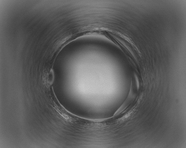 X0000054440881200507291315