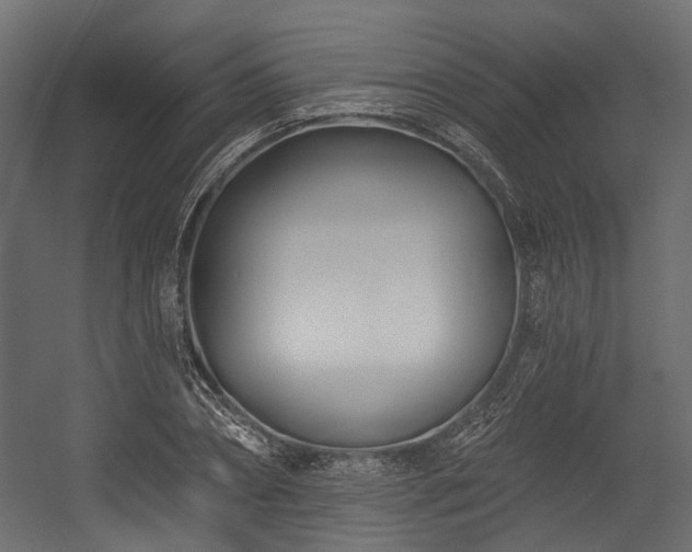 X0000054440882200507291315