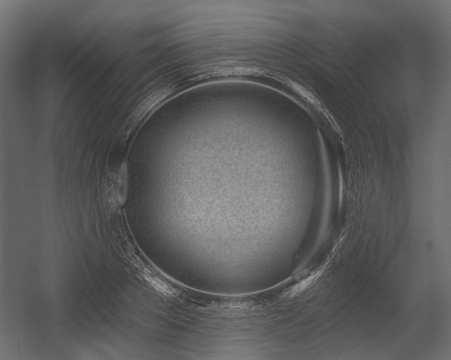 X0000054440889200507291315