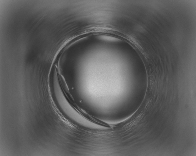 X0000054440891200507291315