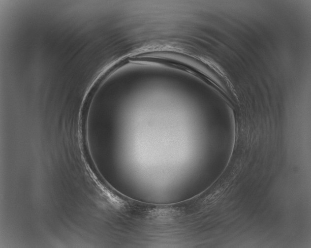 X0000054440894200507291315