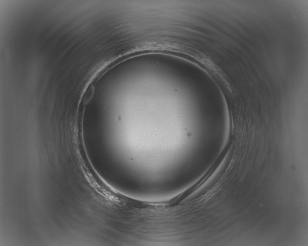 X0000054440896200507291314