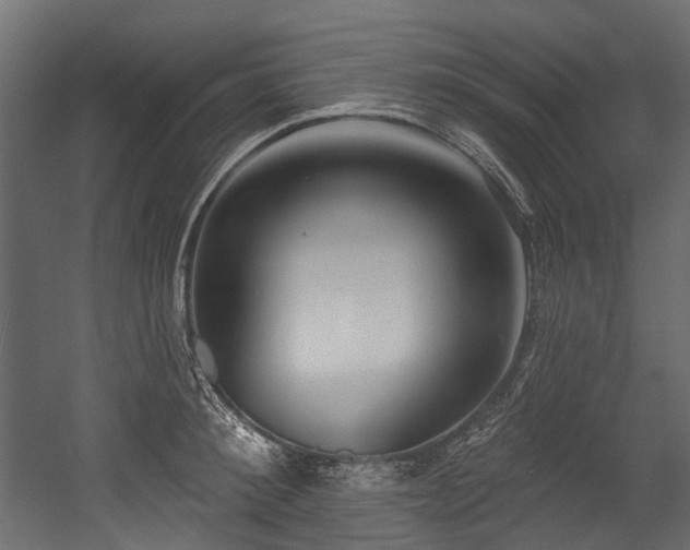 X0000054440900200507291314