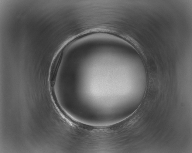 X0000054440902200507291314