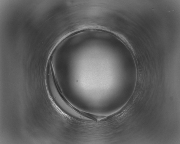 X0000054440903200507291314