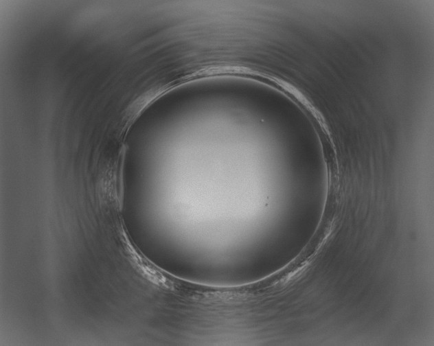 X0000054440905200507291314