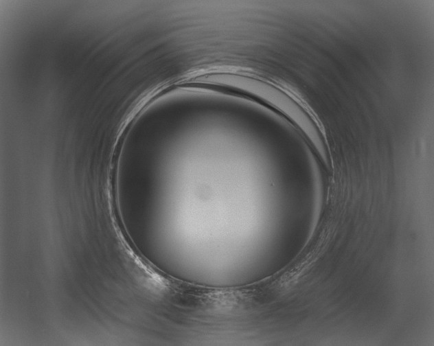 X0000054440906200507291314