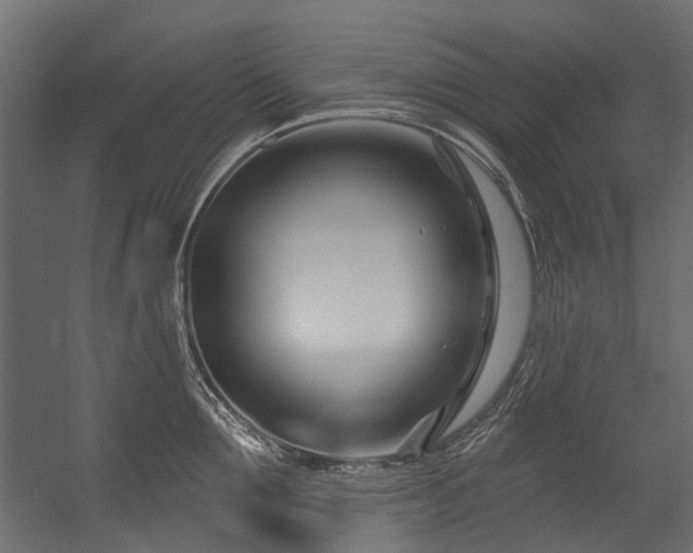 X0000054440907200507291314