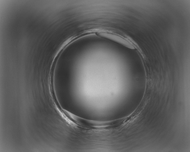 X0000054440909200507291314