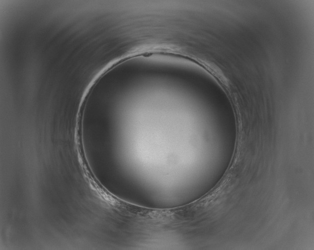 X0000054440912200507291314