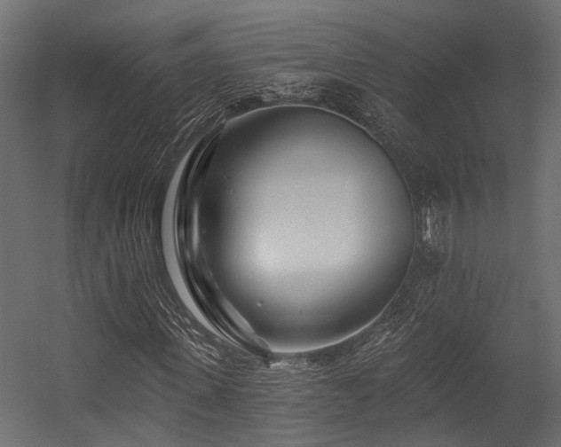 X0000054440915200507291313