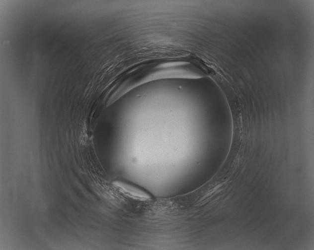 X0000054440916200507291313