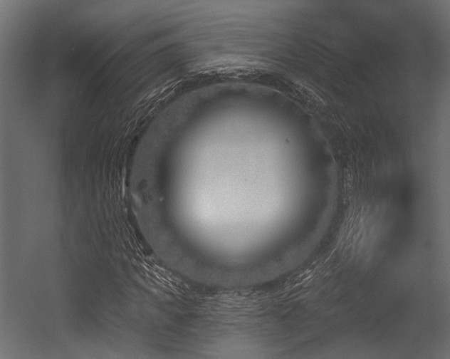 X0000054440917200507291313