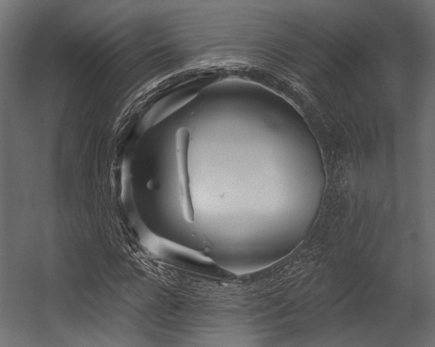 X0000054440920200507291314