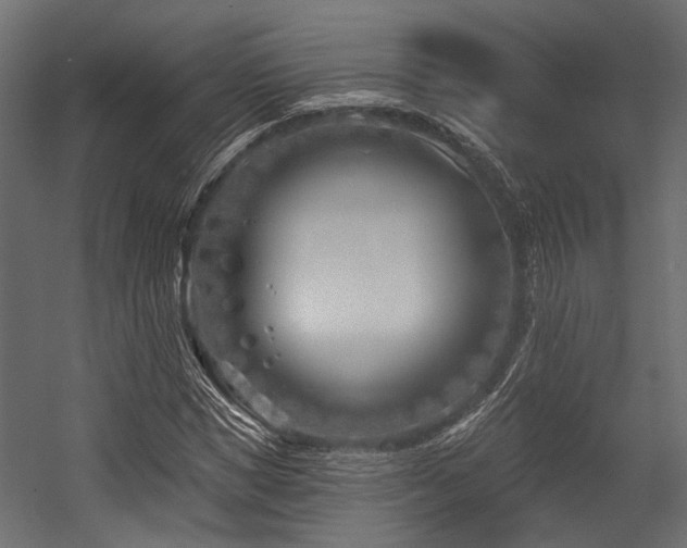 X0000054440921200507291314