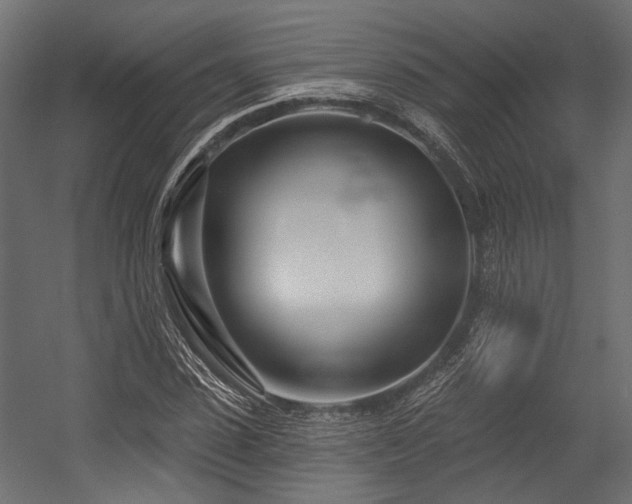 X0000054440923200507291314