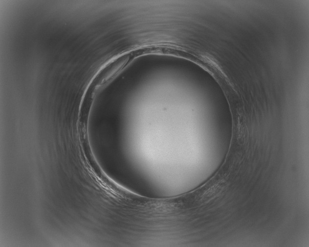 X0000054440924200507291314