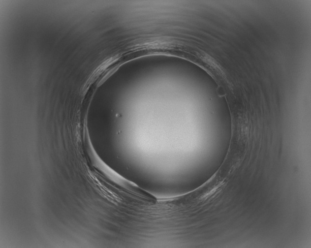 X0000054440930200507291314