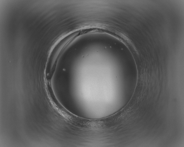 X0000054440936200507291314