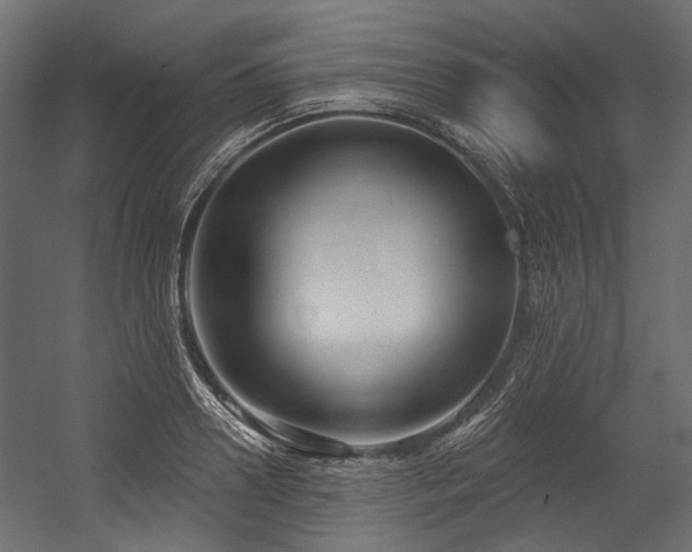X0000054440938200507291314