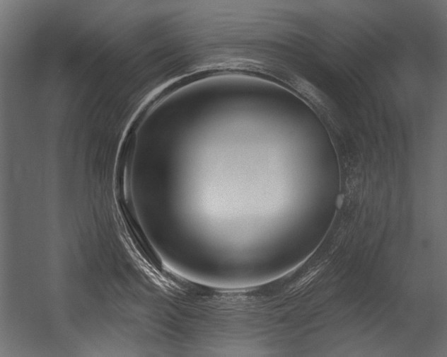 X0000054440940200507291314