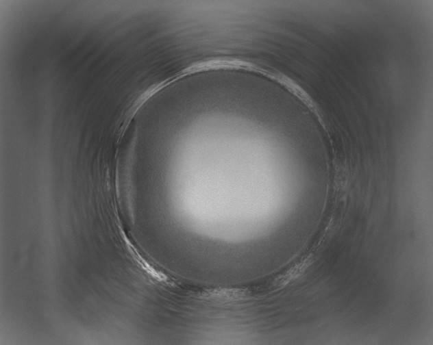 X0000054440953200507291314