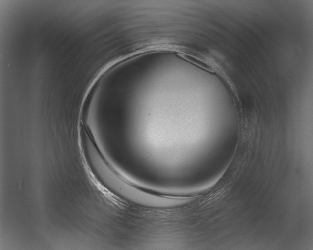 X0000054440955200507291314
