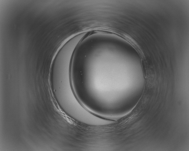 X0000054440956200507291314