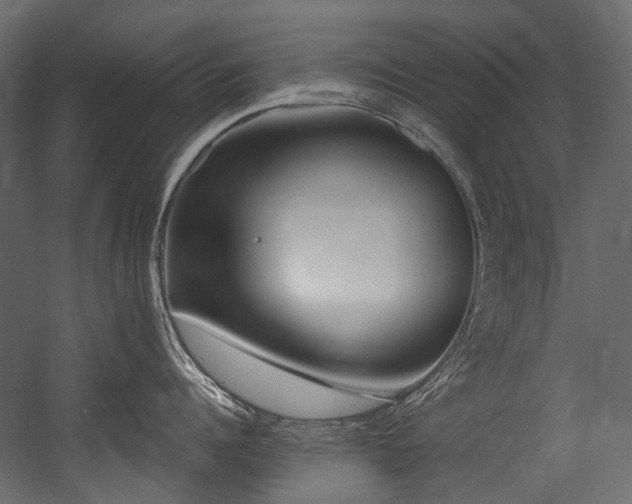 X0000054440960200507291314