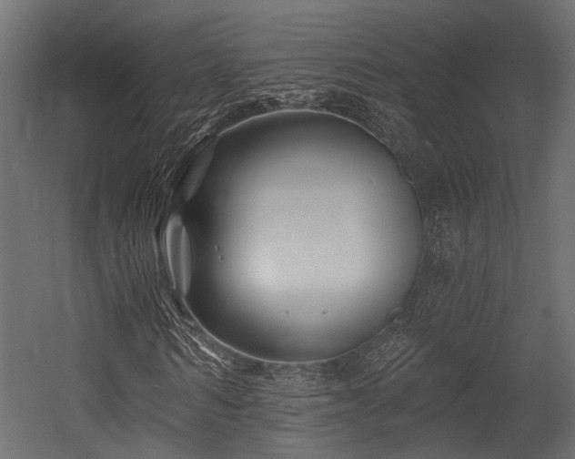 X0000054440962200507291313