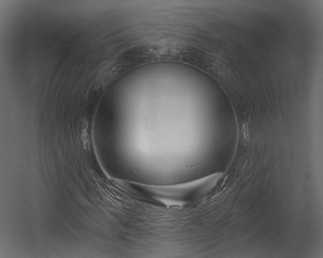 X0000054440963200507291313