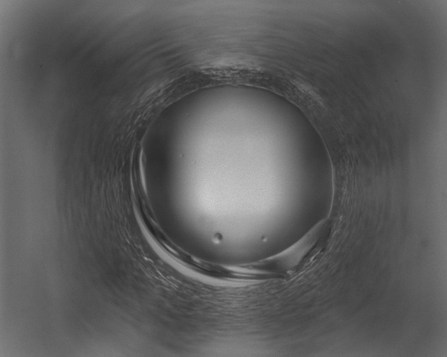 X0000054440965200507291313