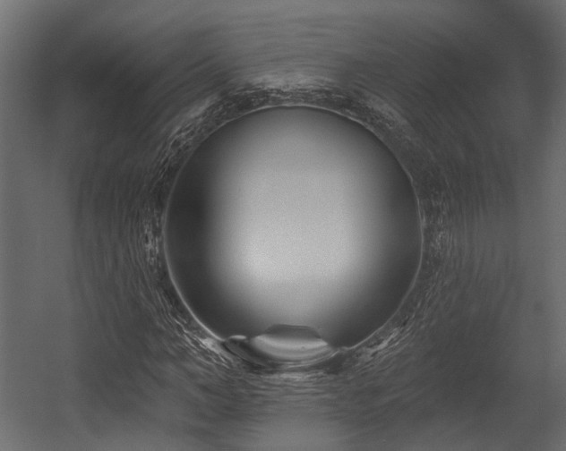 X0000054440966200507291313