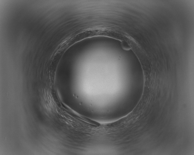 X0000054440967200507291313