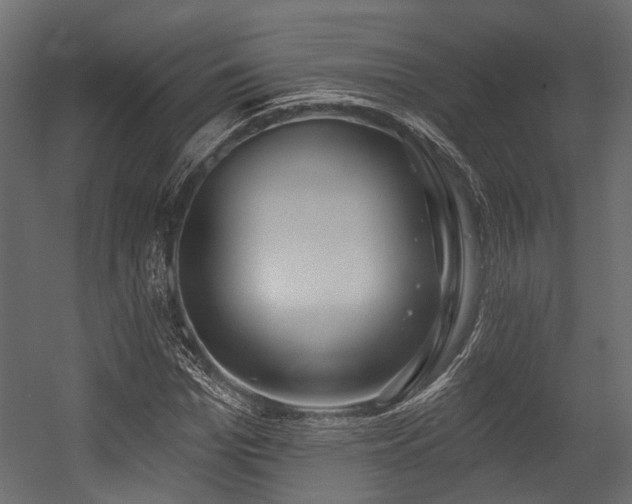 X0000054440969200507291313