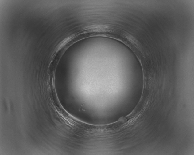 X0000054440970200507291313