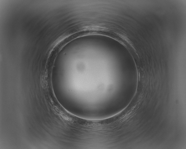 X0000054440971200507291313
