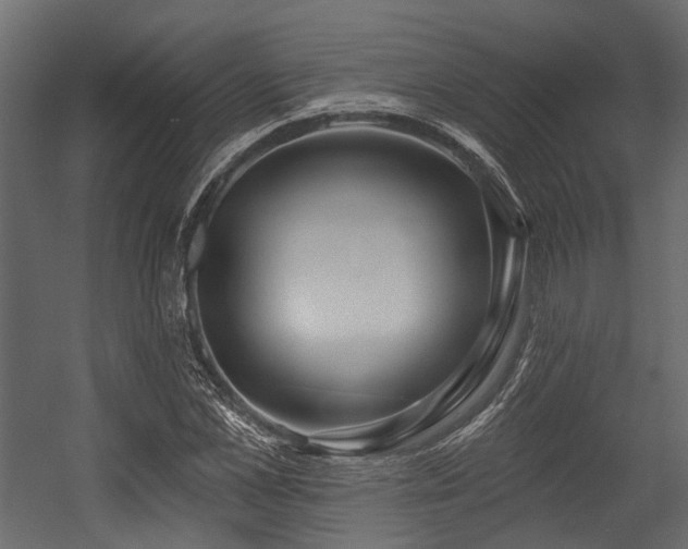 X0000054440973200507291313