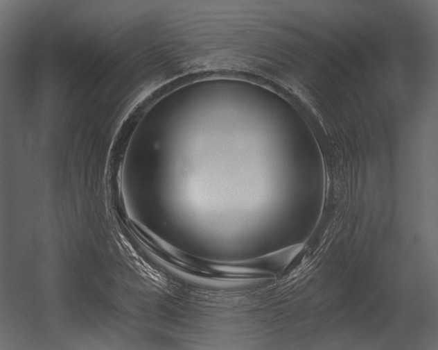 X0000054440975200507291313