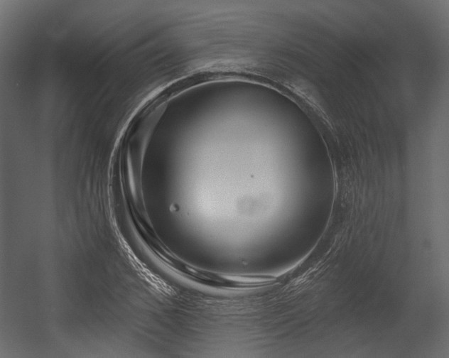 X0000054440976200507291313